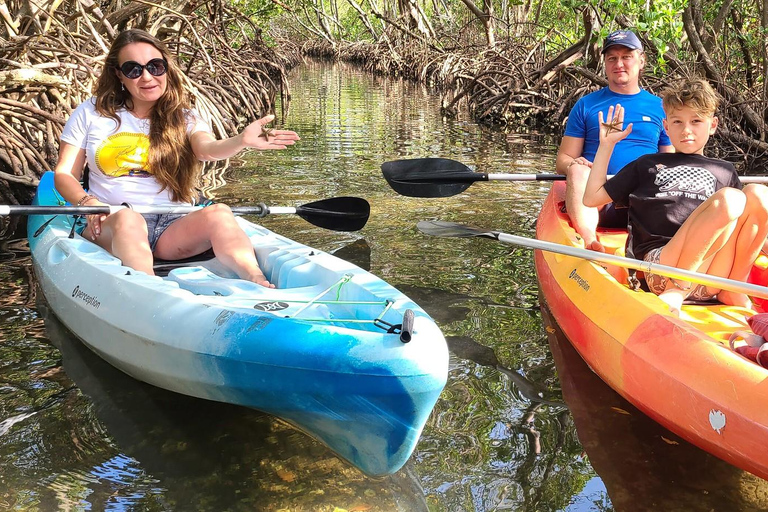 Sarasota: Lido Key Mangrove Tunnel Kayak or Paddleboard Tour Paddleboard