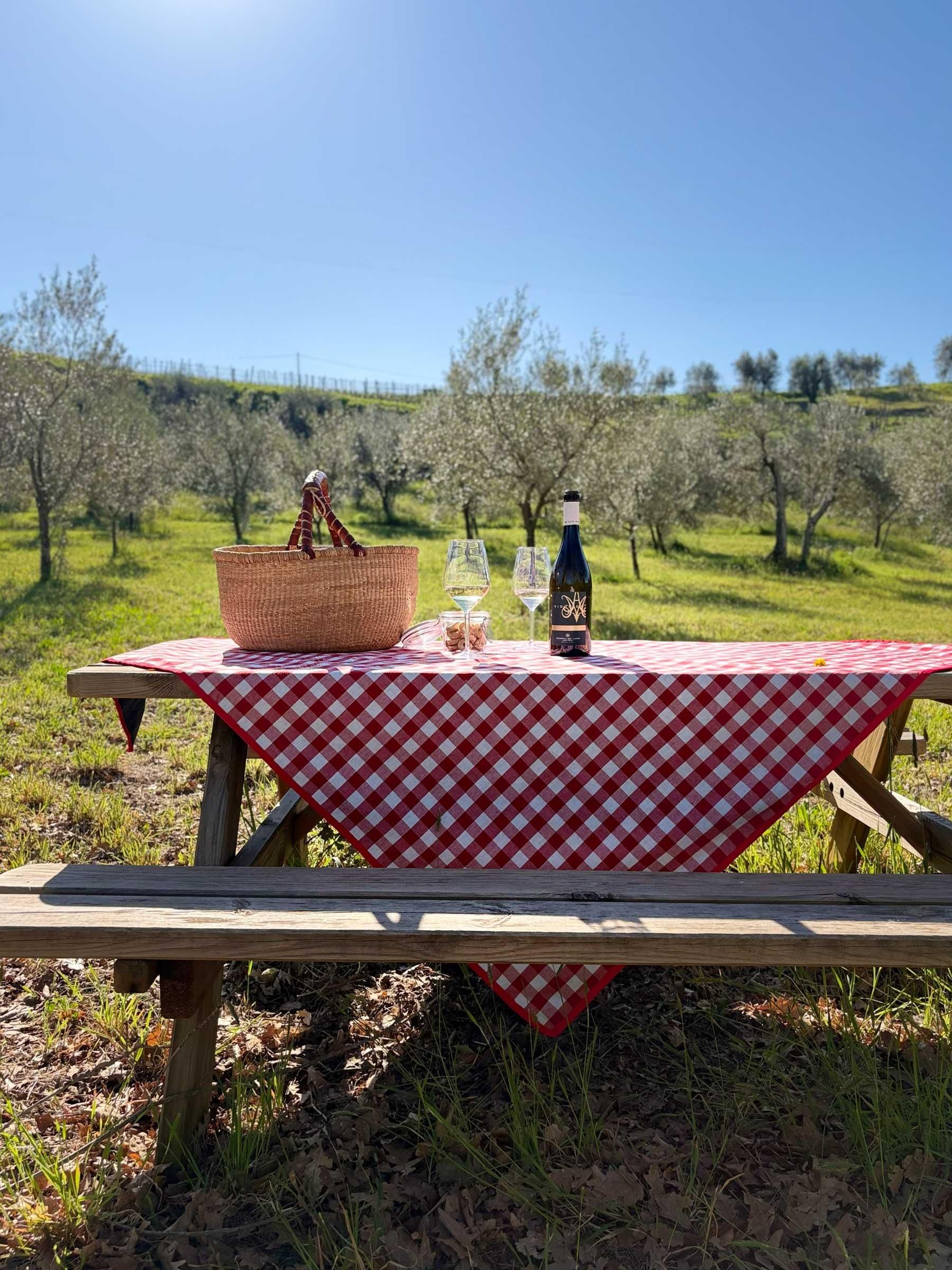 Orvieto: Weinberg-Picknick mit Wein auf einem Familien-Weingut