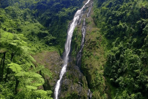 Punta Cana: Salto La Jalda &amp; Montana redonda