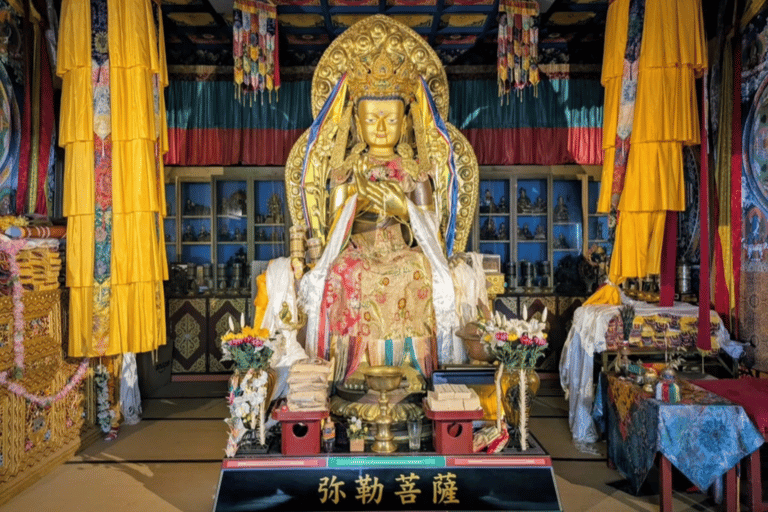Osaka/Kyoto: Hiroshima & Miyajima UNESCO Sites Private Tour