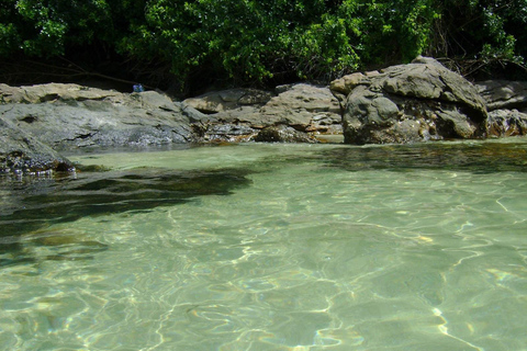 Paraty: Trindade & Southern Beaches Day Trip Trindade Beaches & Caixa d'Aco Natural Pool