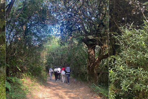 Kathmandu: 2-Day Chisapani and Nagarkot Hiking Tour