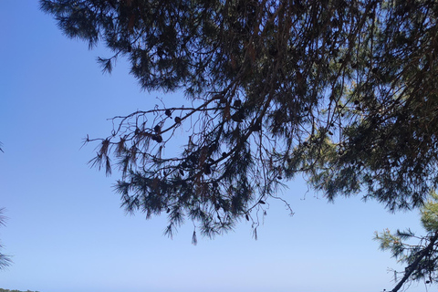 Walk (usually upto 10 km) and explore around Cape Greco 8-hour trip - Walk (usually upto 10 km) & explore Cape Greco