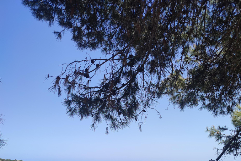 Walk (usually upto 10 km) and explore around Cape Greco 8-hour trip - Walk (usually upto 10 km) & explore Cape Greco