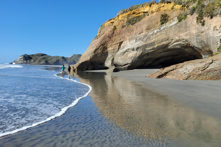 Nya Zeeland: Guidad 17-dagars South Island Tour med camping