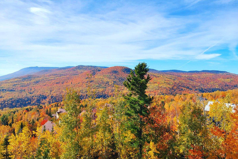 Montreal: Tour guidato delle Laurentides