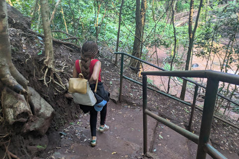 Karura Forest walking tour with nature and waterfalls.