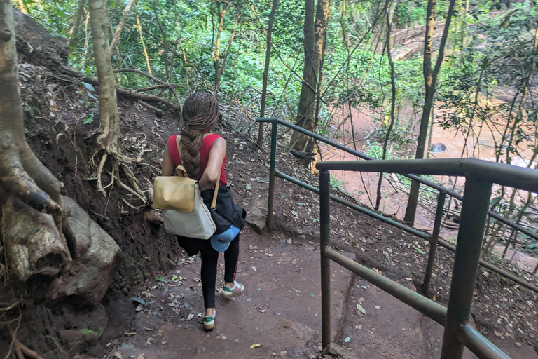 Karura Forest walking tour with nature and waterfalls.