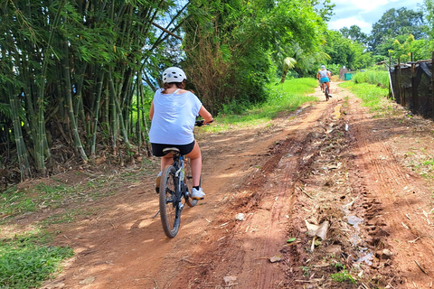 شيانغ ماي الشلال اللزج، وجولة في بحيرة الكاياك وركوب الدراجات الهوائيةشيانغ ماي: شلال لزج، جولة كا