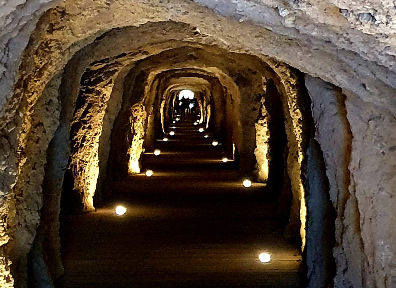 Málaga: Caminito del Rey guidet tur med transport