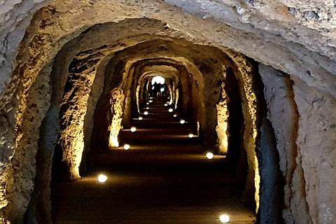 Ab Málaga: Bustour zum Caminito del Rey