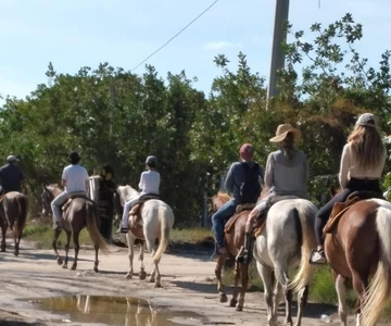 Escursione di gruppo a cavallo sull'isola di Holbox, Quintana Roo