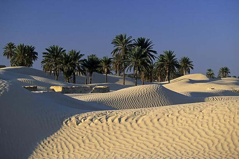 From Hammamet: 2-Day Sahara Tour, El Jem, Matmata & Tozeur