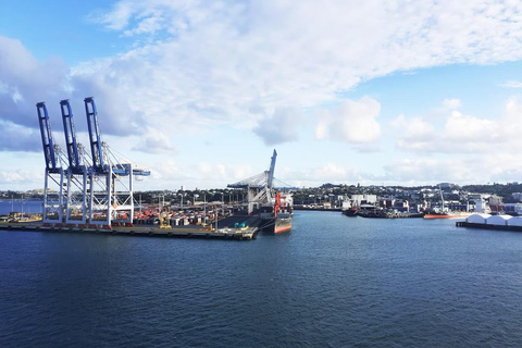 Auckland: Scenic Wine and Cheese Harbour Cruise