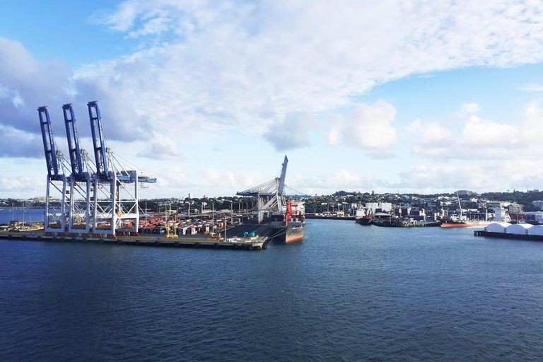 Auckland: Scenic Wine and Cheese Harbour Cruise