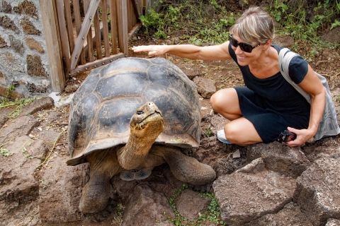 Ecuador und die Galapagos-Inseln: Route, Transport & Hotels