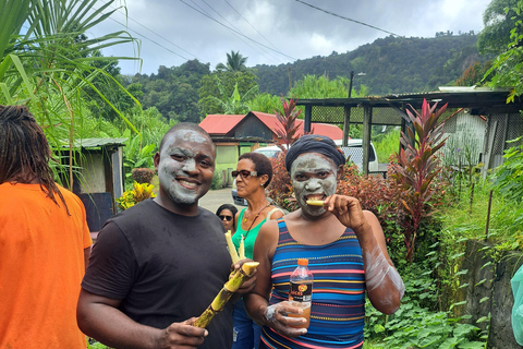Roseau: Rainforest tour of Trafalgar Waterfalls & Geysers.