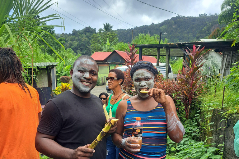 Roseau: Rainforest tour of Trafalgar Waterfalls & Geysers.