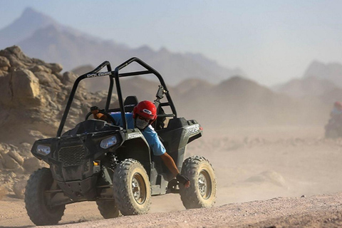 Hurghada Buggy Safari Tour With Dinner, Show & Stargazing