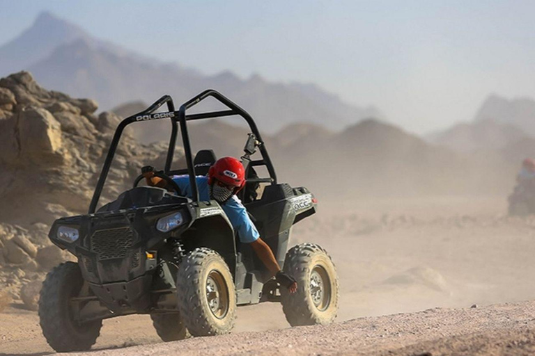 Hurghada Buggy Safari Tour With Dinner, Show & Stargazing