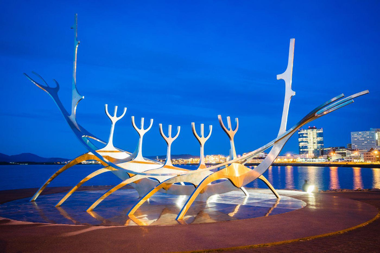 Reykjavik: Private Night Tour
