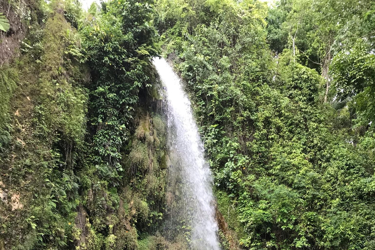 Osservazione degli squali di Oslob, cascate di Inambakan e corsa delle sardine