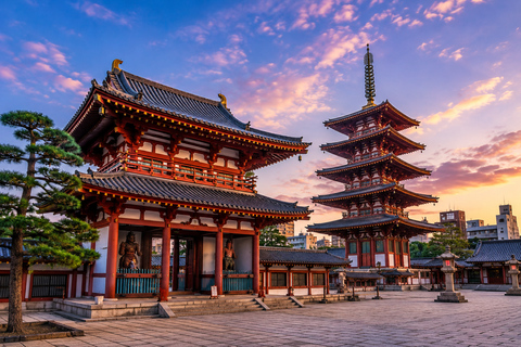 Osaka: Osaka & Nara Private Customizable Guided Tour