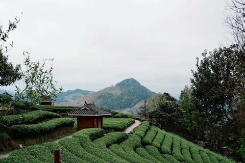 桂林至三江：东村、当地午餐和茶山其他语言的导游