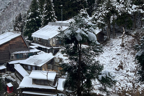 From Tokyo: Nagano Full Day Private Snow Monkey Park Tour