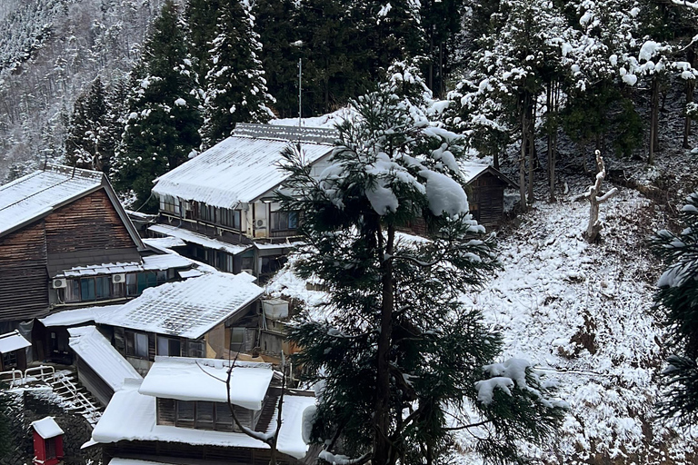 From Tokyo: Nagano Full Day Private Snow Monkey Park Tour