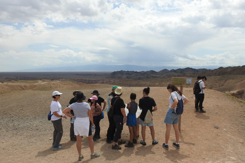 TOUR PRIVADO Excursión de un día al Cañón de Charyn, UNESCOCañón de Charyn, UNESCO