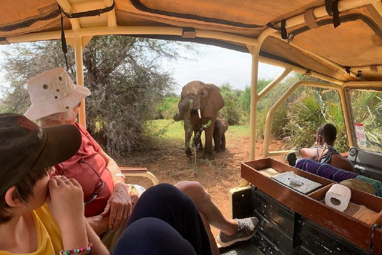 Nairobi: 3-Day Samburu National Reserve Safari Tour