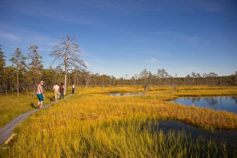 Estonian Countryside and Lahemaa Day Trip from Tallinn