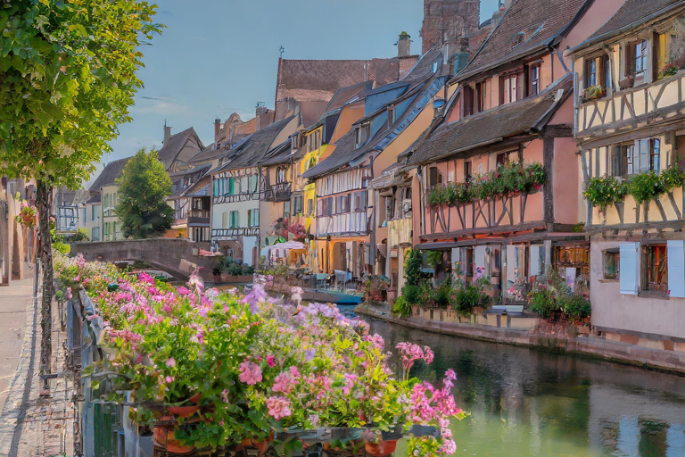 From Zurich Full-day private tour Basel and Colmar