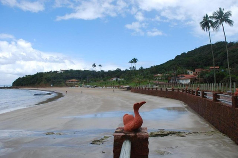 Saindo de Salvador: Passeio de Escuna para as Ilhas Frades e Itaparica