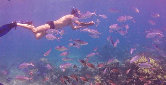 Catalina Island snorkeling Dominican Republic