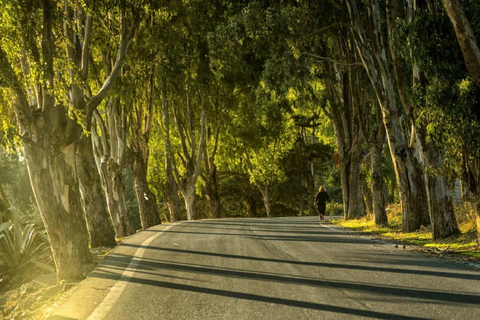 Authentic Crete: Minoan Farm, Winery, and Monastery Day Trip