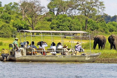 Excursion d&#039;une journée à Chobe (Botswana)