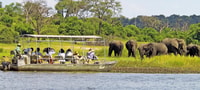 Zambezi River; Sunset Game Cruise - Housity