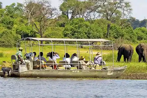 Livingstone: Chobe National Park Safari with Lunch