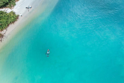 Fort Pierce: Clear Kayak Tour with Wildlife Sightings