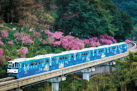 Chongqing: privétour door de stad (met Spaanstalige gids)Chongqing: City Walking Private Tour (Guided in Spanish)