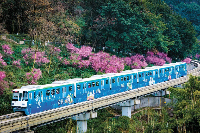 Chongqing: privétour door de stad (met Spaanstalige gids)Chongqing: City Walking Private Tour (Guided in Spanish)