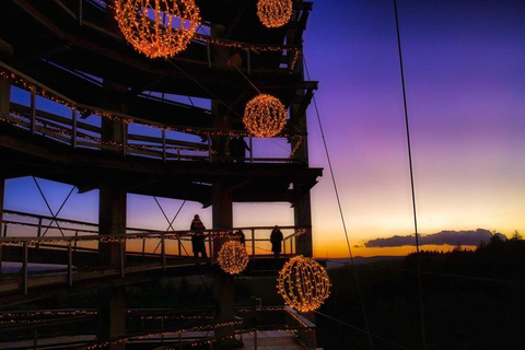 Saarland: Treetop Walk Saarschleife & Lookout Tower