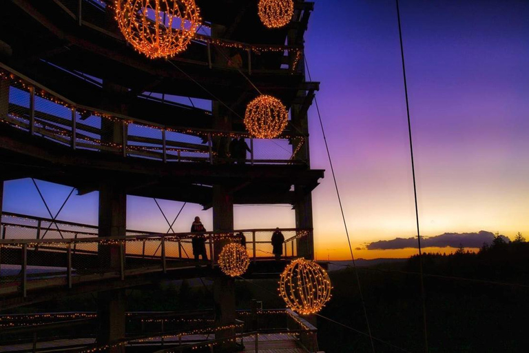 Saarland: Treetop Walk Saarschleife & Lookout Tower