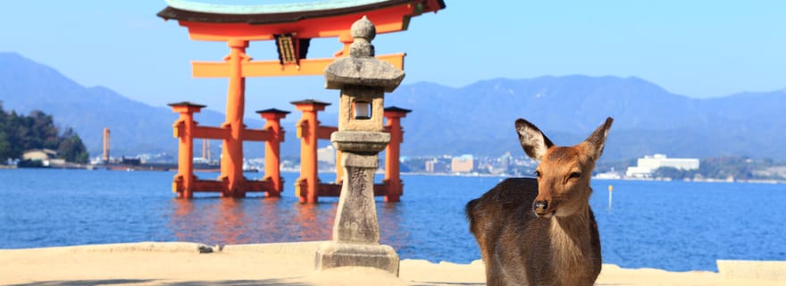 Miyajima : visite privée d'une demi-journée avec guide agréé