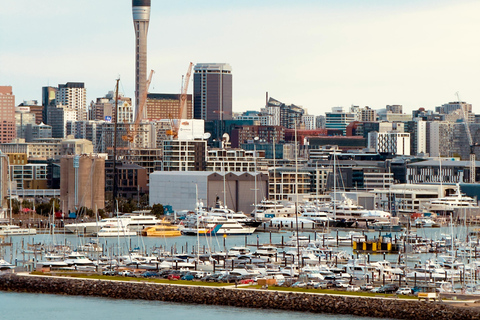 Auckland: Private Tours and Transfers with Driver Auckland: Private Tours and Transfers