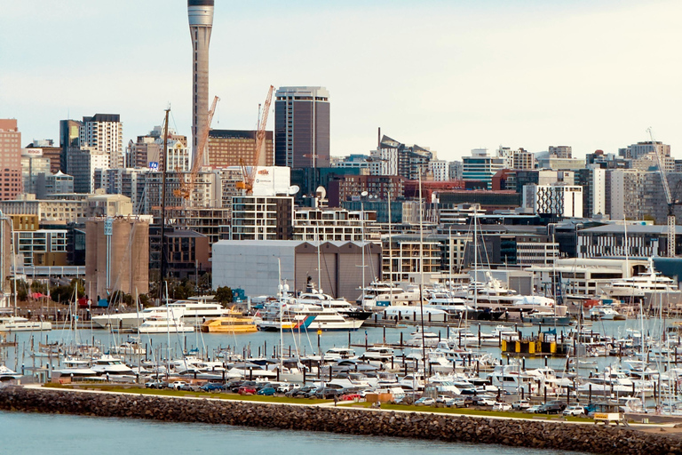 Auckland: Private Tours and Transfers with Driver Auckland: Private Tours and Transfers