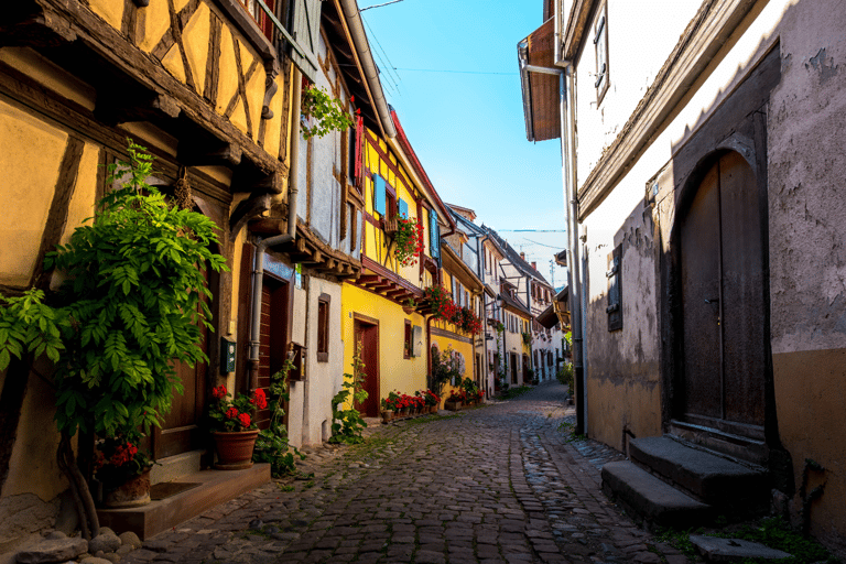 Eguisheim: step into the legendary circle. Walking tour with a guide