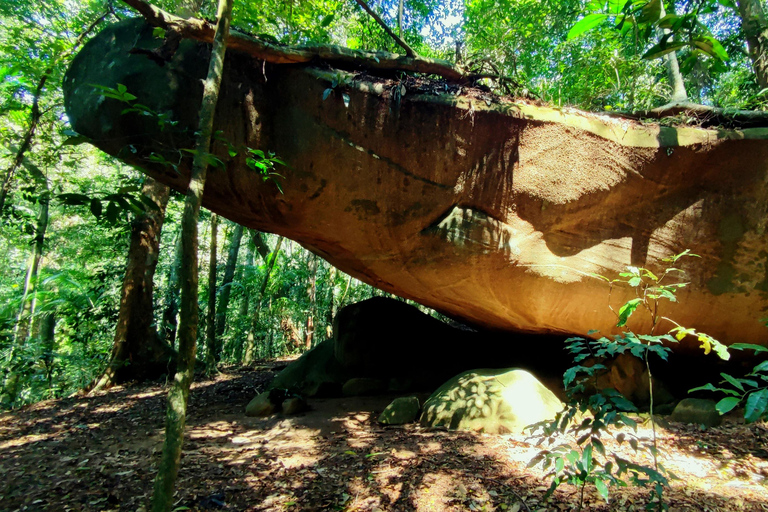 Rio de Janeiro: Tijuca Caves Guided Hike with Park Entry